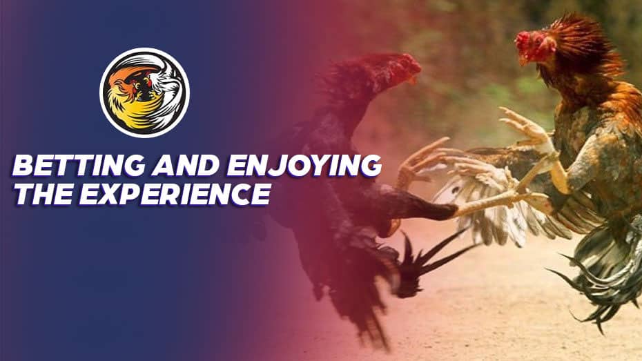 888 jili casino peso63 free 100